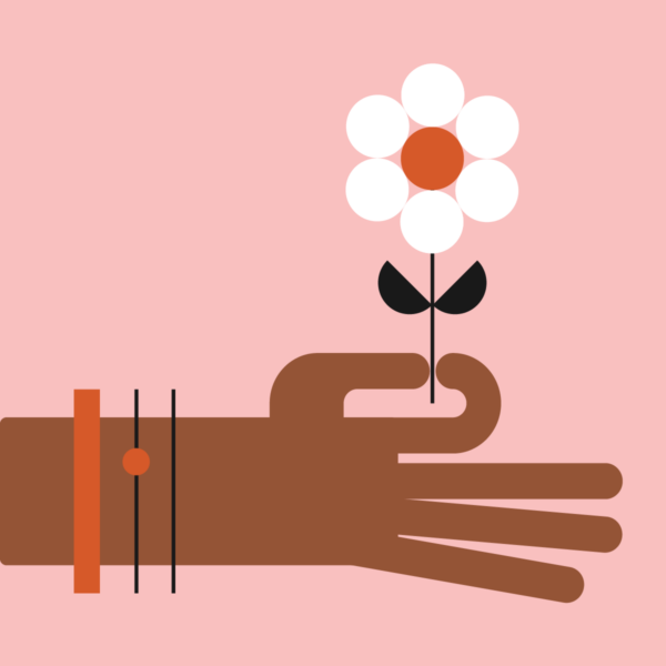 Hand holding a single daisy